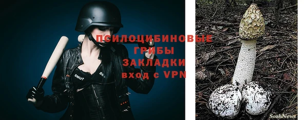 мяу мяу мука Богданович