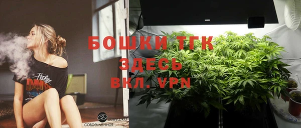 PSILOCYBIN Богородицк