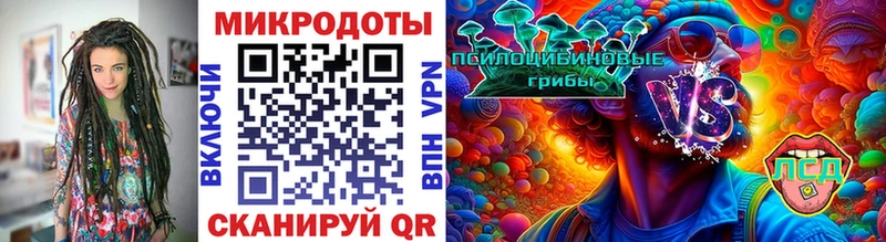 Галлюциногенные грибы Psilocybine cubensis  Голицыно 
